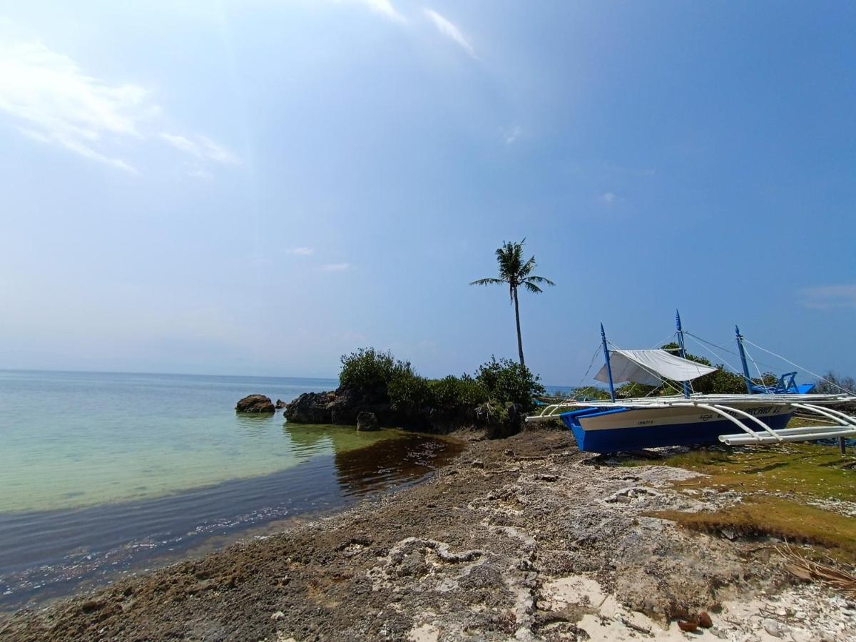 The Wild Orchid Resort - Moalboal Eksteriør billede