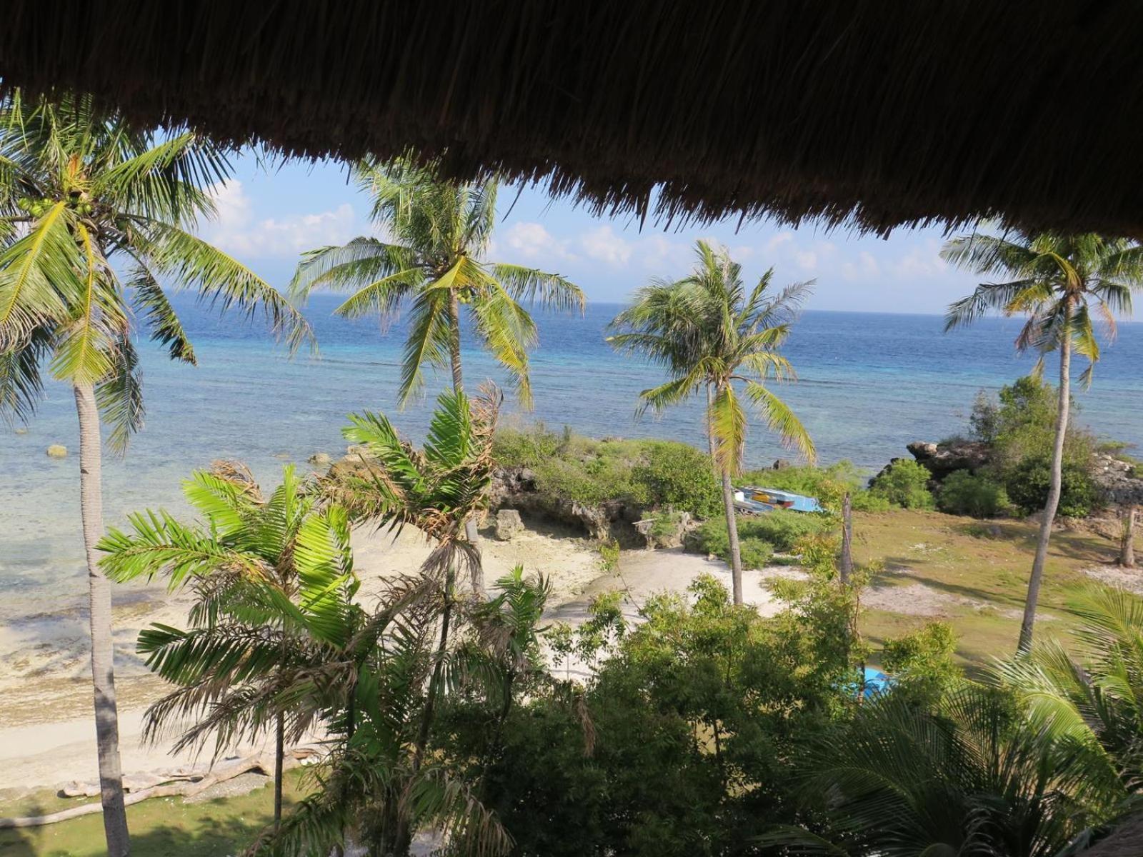 The Wild Orchid Resort - Moalboal Eksteriør billede
