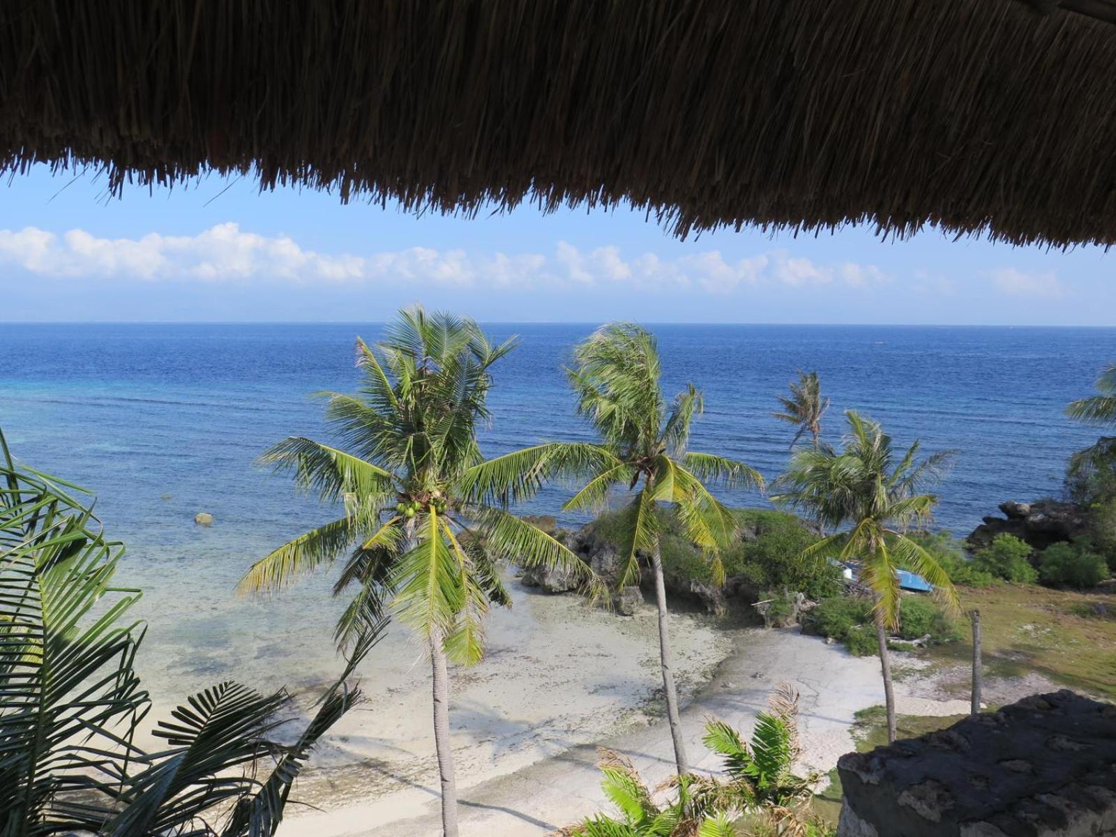 The Wild Orchid Resort - Moalboal Eksteriør billede
