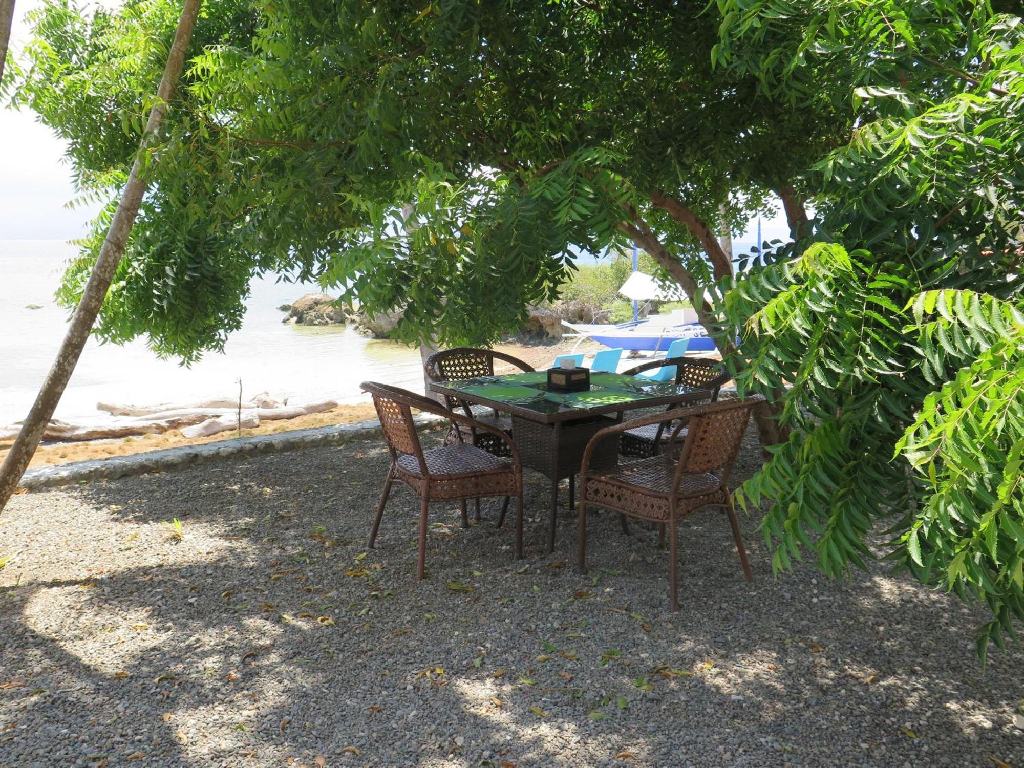 The Wild Orchid Resort - Moalboal Eksteriør billede