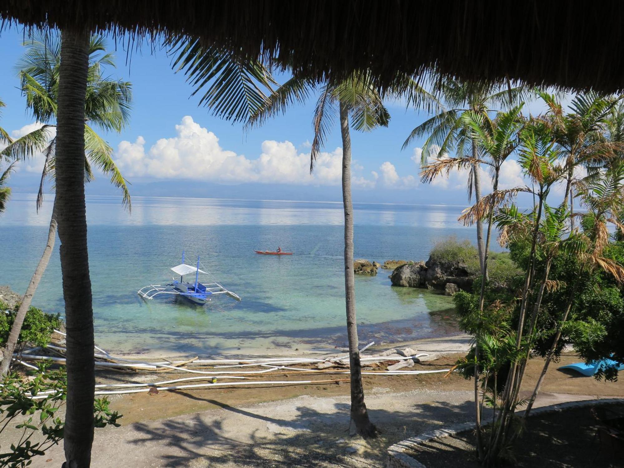 The Wild Orchid Resort - Moalboal Eksteriør billede