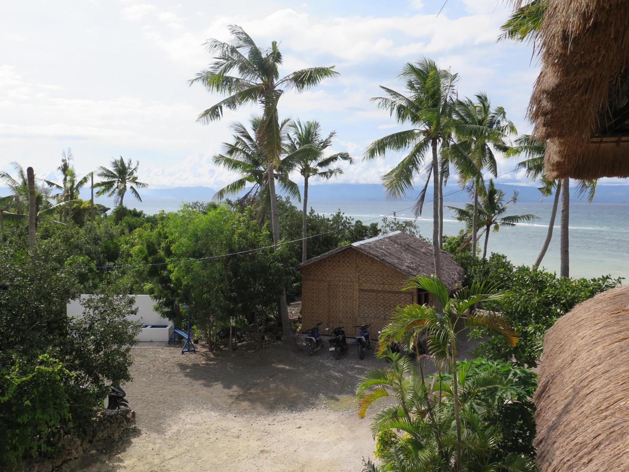 The Wild Orchid Resort - Moalboal Eksteriør billede