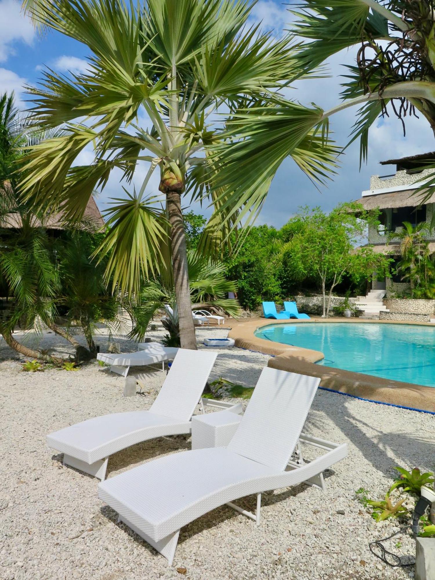 The Wild Orchid Resort - Moalboal Eksteriør billede