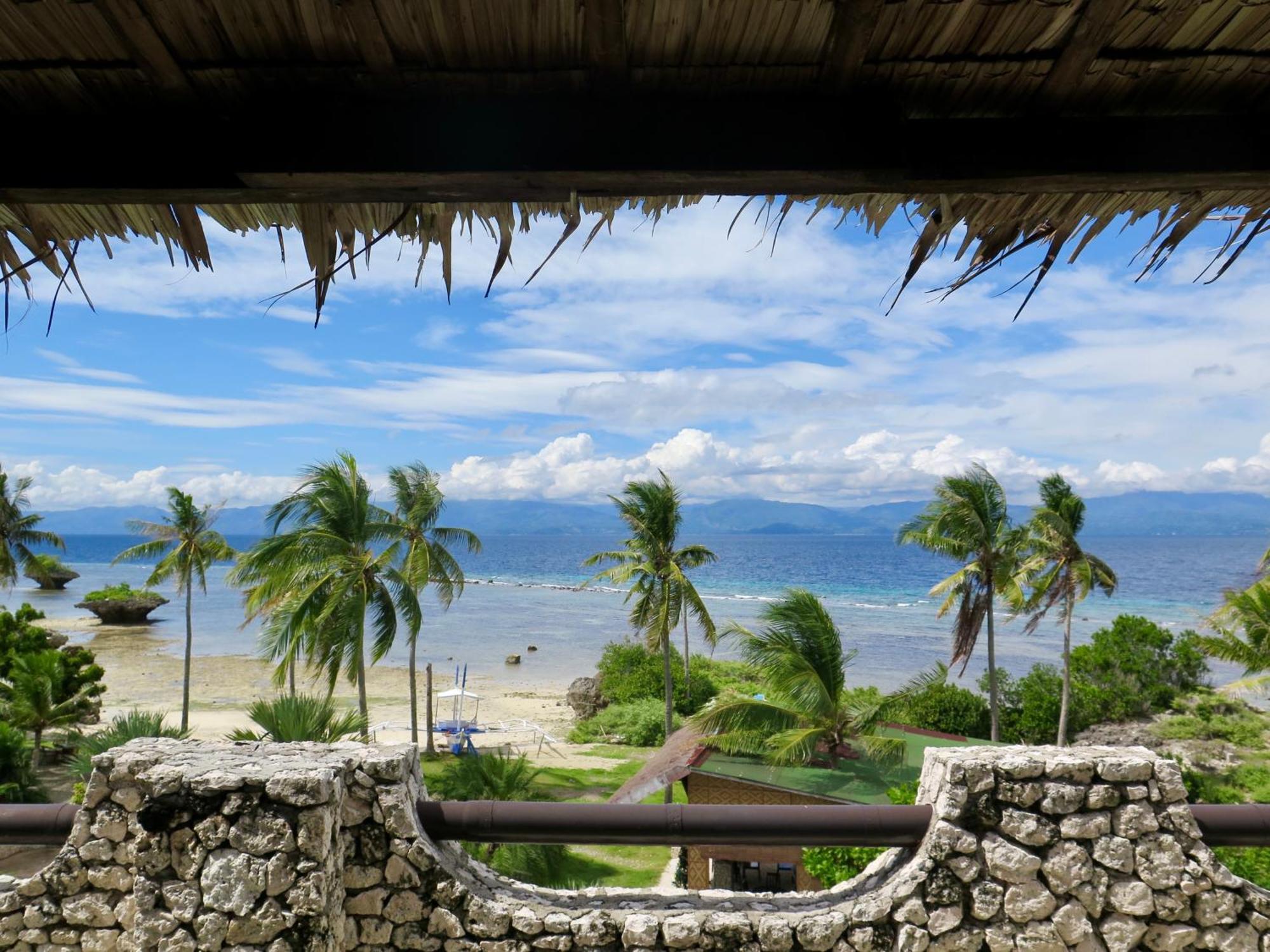 The Wild Orchid Resort - Moalboal Eksteriør billede