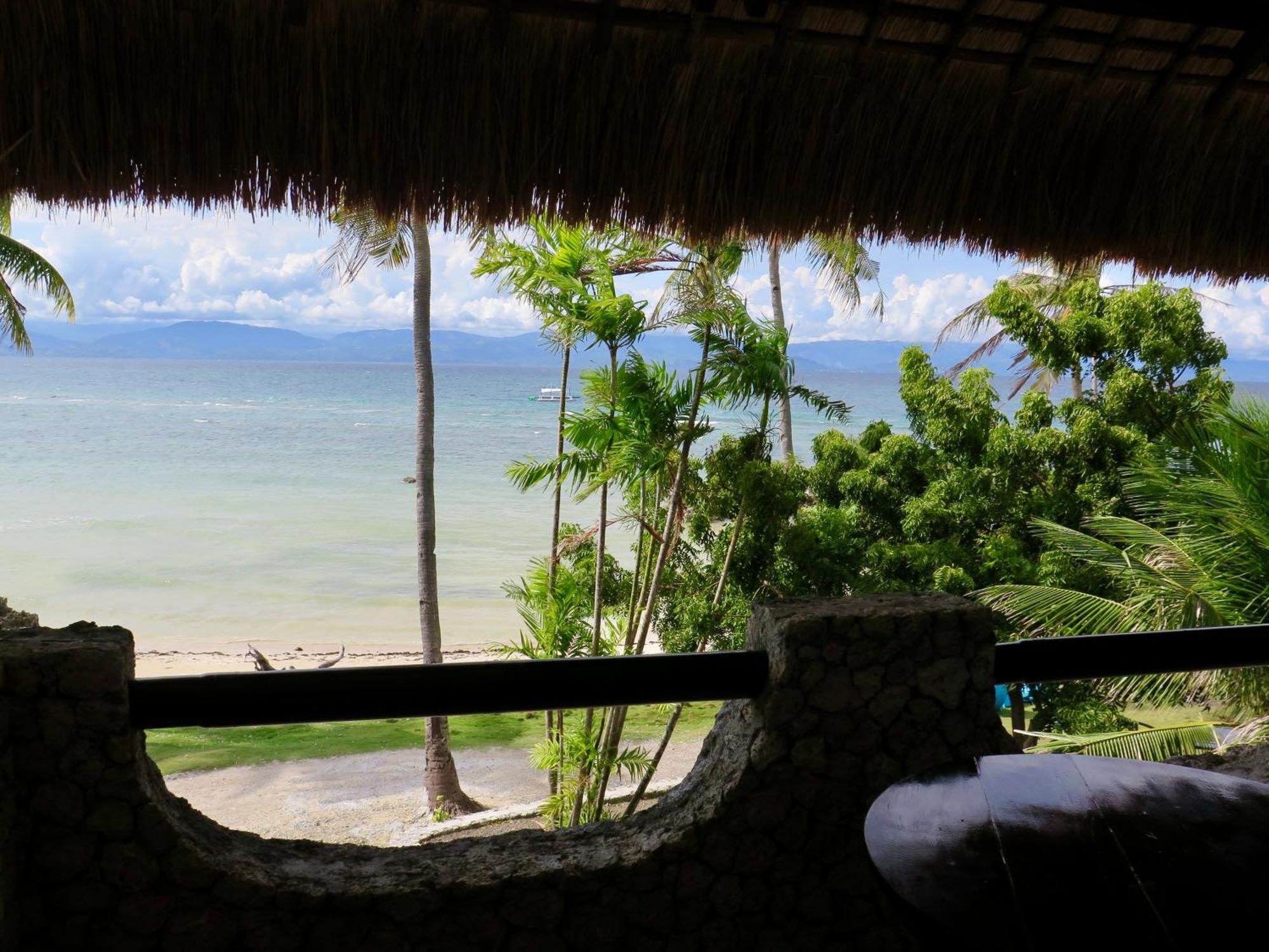 The Wild Orchid Resort - Moalboal Eksteriør billede